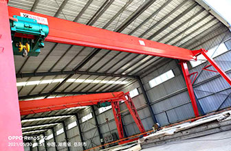 湖南岳陽單梁門式起重機(jī)項(xiàng)目